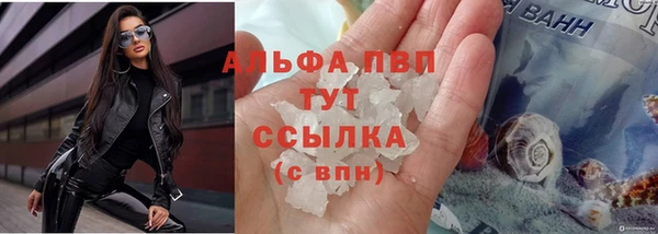 прущие грибы Лагань