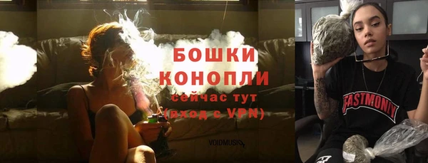 прущие грибы Слюдянка