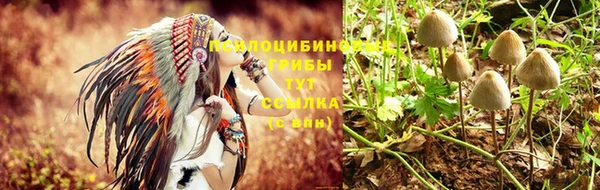 метамфетамин Дубовка
